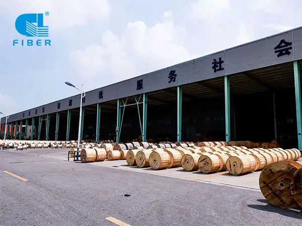 How Fiber Optic Cables Power Global Digital Transformation?