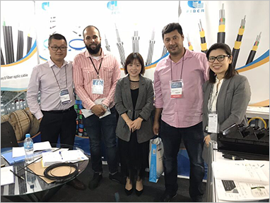GL Participated In The Optical Cable  Exhibition in  2017